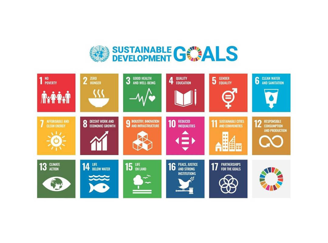 GLOBAL SCHOOLS ÜYELİK WEB HABER - 2