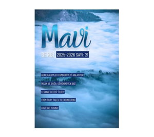 mavi 21